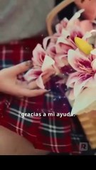 Nunca Rechaces a una Princesa Lobo en Español