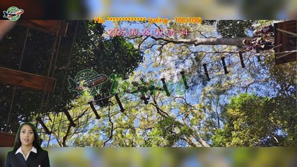 「TravelPZ」 Review TreeTop Challenge Ticket in Sunshine Coast