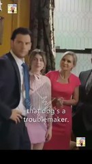 Mr Hills' Adorable Wife Full Movie