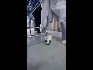 born to be wild chinese drama