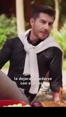 Accidentalmente embarazada del Alfa en Español #ReelShort