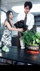 [Doblado ES] Pasión Inmortal- Renacer entre las Cenizas en Español