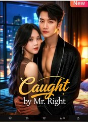 Caught by Mr Right Chinese Drama - English Sub