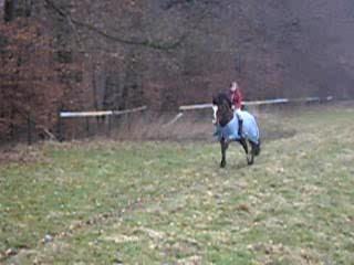 Moi et Mister au galop sur l'hippodrome