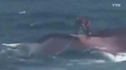 해경 "가거도 인근 서해 공해상서 중국어선 전복...3명 실종" / YTN