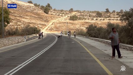 Maskeli fanatik Yahudi grup Filistinlilere sopalarla tehdit ve hakaretlerde bulundu