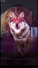 Fated To Miss- The Luna In His Dreams