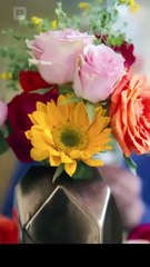 La Marca Del Amor Verdadero en Español