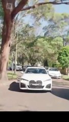 The Elite Heir's Ultimate Comeback