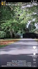 Mafia's Tender Torture