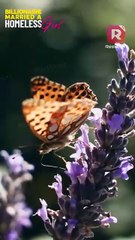 My son fainted from an allergy—but the jealous woman blocked me from saving him! | ReelShort