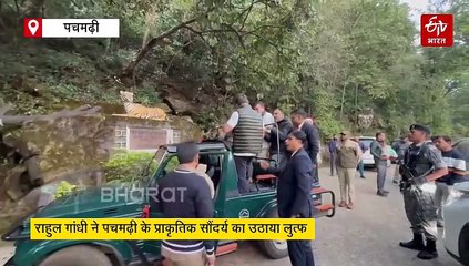राहुल गांधी को भायीं पचमढ़ी की वादिया, सतपुड़ा टाइगर रिजर्व में जंगल सफारी की