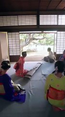 Midnight Siren - Time's Prisoner, Love's Captive #Dramabox