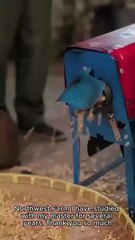 Ten Years In Prison, All For Her Lies / Loving the Wrong One for Ten Years - Full Movie - Chinese Drama