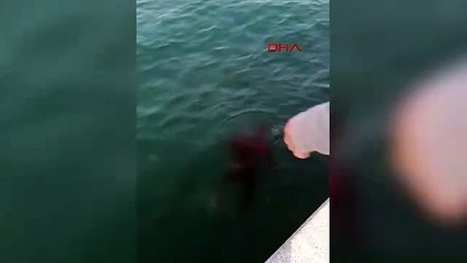 İstanbul Boğazı'nda dehşet! Balıkçıların oltasına ceset takıldı