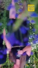 My Domineering Prince (2025) Full Episode