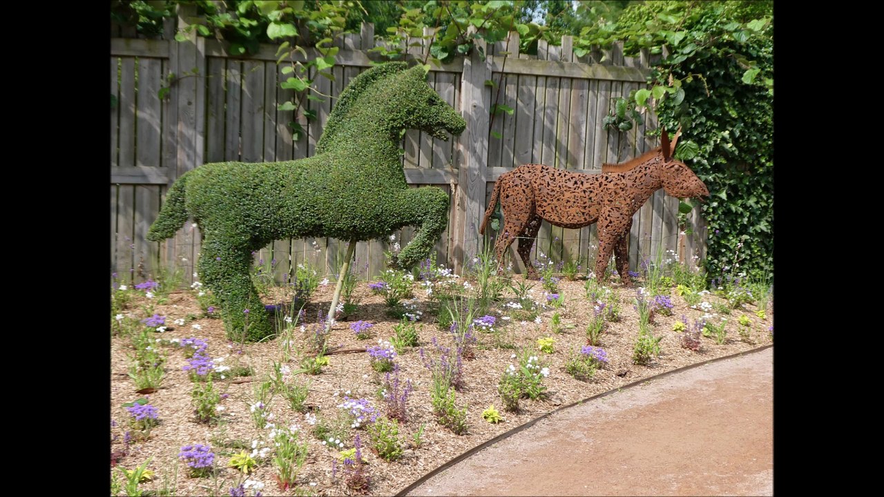 Chevaux