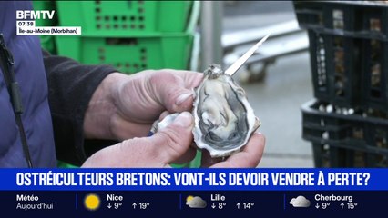 "Elle n'est pas valorisée à son juste coût": les ostréiculteurs bretons vont-ils devoir vendre à perte?