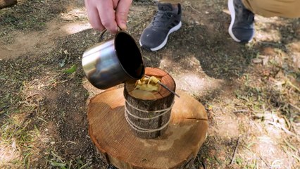 Camping tips for your survival in nature🌳