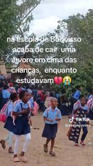 Árvore que era sala de aula desaba numa escola em Moçambique