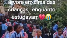 Árvore que era sala de aula desaba numa escola em Moçambique