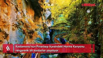 İçinden sonbaharın geçtiği kanyon: Horma