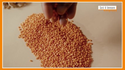 Sorsi di Benessere - Una ricetta gustosa a base di lenticchie e castagne