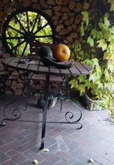 A Surprise! A New Young Cat Friend Has Come :) #cat #funnycats