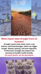 What impact does drought have on humans
