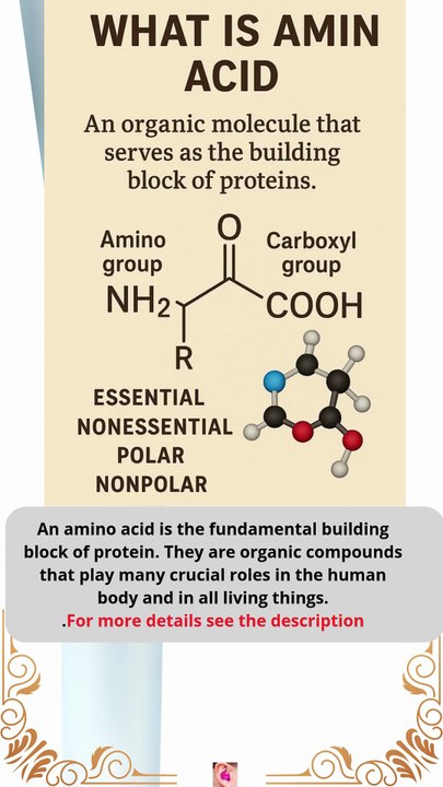 what is amin acid