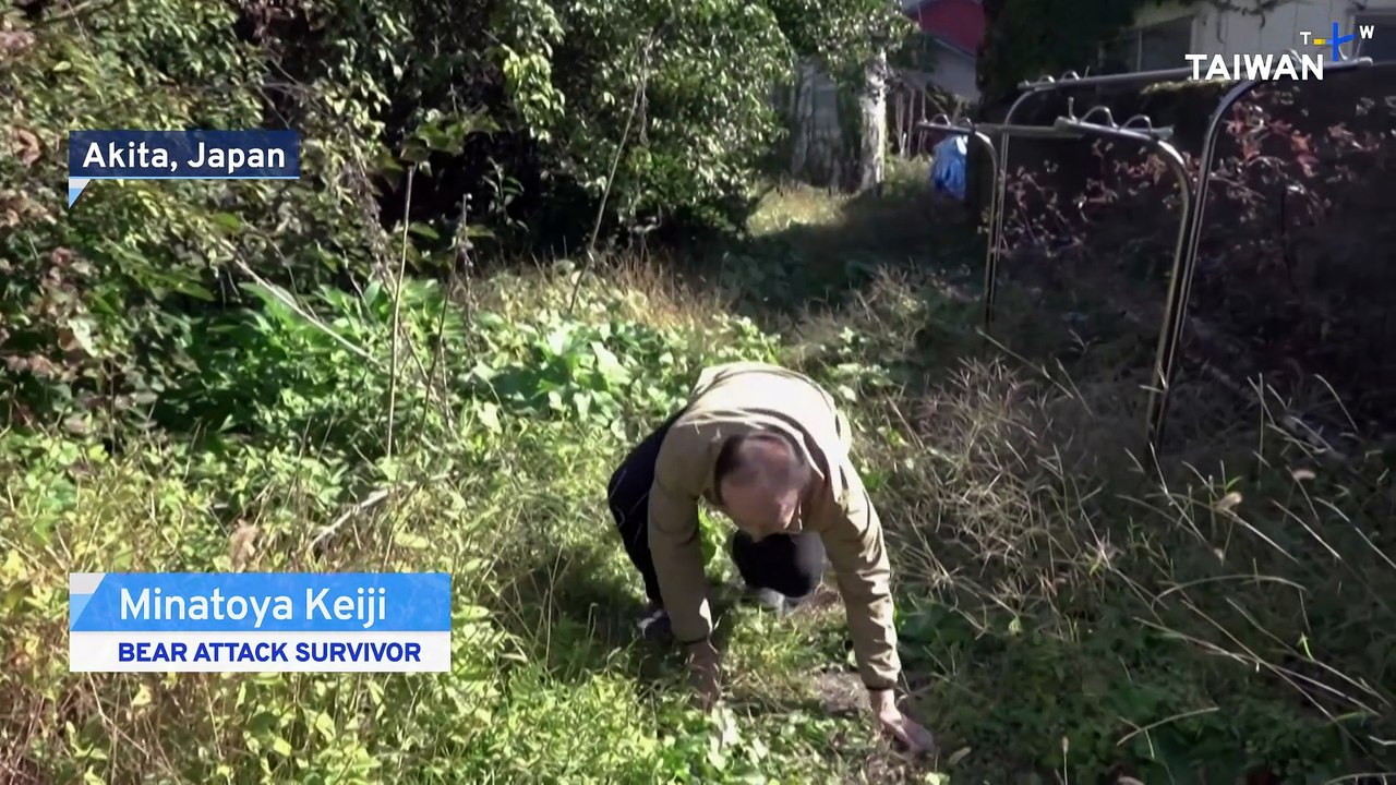 Bear Attacks a Growing Problem in Northern Japan