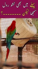 Pahly Me Bhi TISSUE ROLL Samjha😳