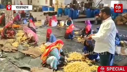 देश की नामी कंपनियां पुष्कर से खरीदती हैं आंवला, कई राज्यों में जाते हैं Products