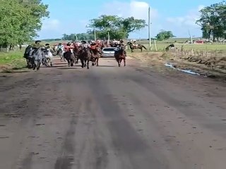 Cabalgata infantil en Río Branco, Cerro Largo - Uruguay 08/11/2025