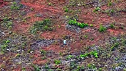 Globo Rural (09/11/2025): Confira os destaques do programa de hoje