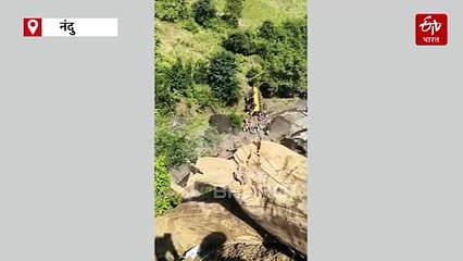 विद्यार्थ्यांना घेऊन जाणारी बस 100 फूट दरीत कोसळली; एका विद्यार्थ्याचा मृत्यू, अनेक जखमी