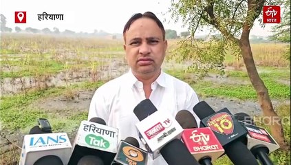 नूंह में खेतों में अब भी भरा बरसाती पानी, गेहूं की बिजाई पर संकट, 50 एकड़ में सड़ गई ज्वार-बाजरे की फसल