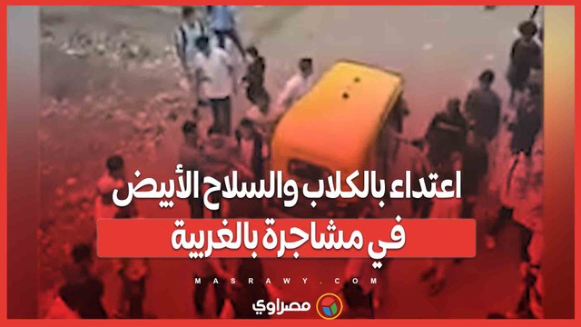 اعتداء بالكلاب والسلاح الأبيض في مشاجرة بالغربية.. والداخلية تتحرك