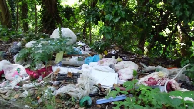 Monti Peloritani oltraggiati, istituire un parco regionale