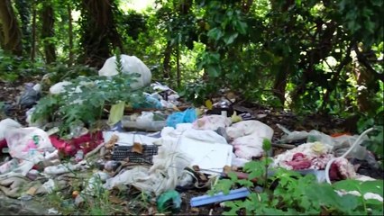 Monti Peloritani oltraggiati, istituire un parco regionale