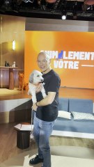 Exclusif - Plateau de la nouvelle émission "Animalement Vôtre" présentée par Bernard Montiel et diffusée le 9 novembre sur France 3, à Paris, France, le 13 octobre 2025. © Jack Tribeca/Bestimage
