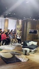 Exclusif - Plateau de la nouvelle émission "Animalement Vôtre" présentée par Bernard Montiel et diffusée le 9 novembre sur France 3, à Paris, France, le 13 octobre 2025. © Jack Tribeca/Bestimage