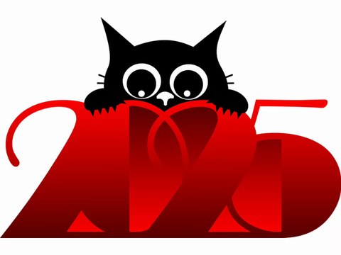 SERDAR ŞİMŞEK KARA KEDİ KOMİK MÜZİKLİ KARİKATÜR