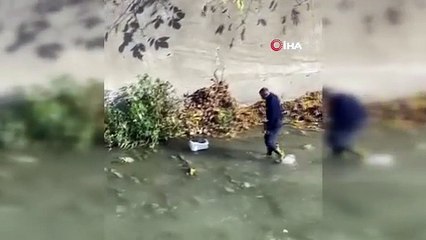 Harşit Çayı’na düşen tavuğu itfaiye kurtardı