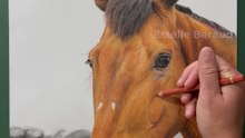 Dessin réaliste d’un cheval au crayon de couleur