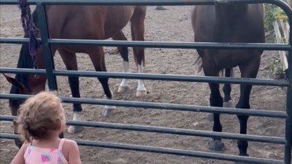 Heartwarming video shows horse nodding in encouragement as child dances at the barn