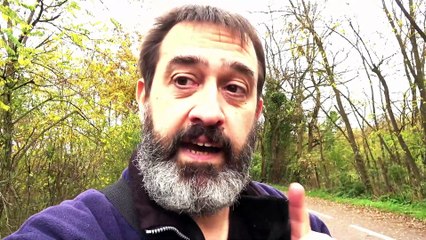 Brumath Nid de Frelons Asiatique chez les Gens du Voyage