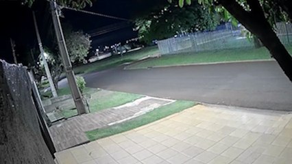 Ouça os tiros: Câmera registra sons dos disparos da polícia contra rottweilers que geraram pânico e vítimas no Coqueiral