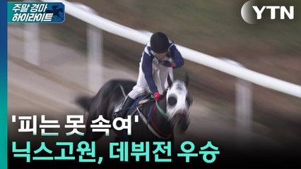 [주간 경마] '피는 못 속여'...닉스고원, 최고 혈통 이어받아 데뷔전 우승 / YTN