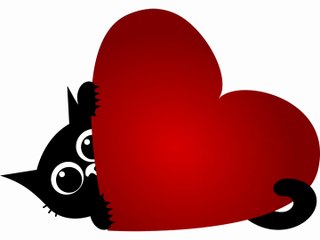 SERDAR ŞİMŞEK KARA KEDİ MÜZİKLİ KOMİK KARİKATÜR